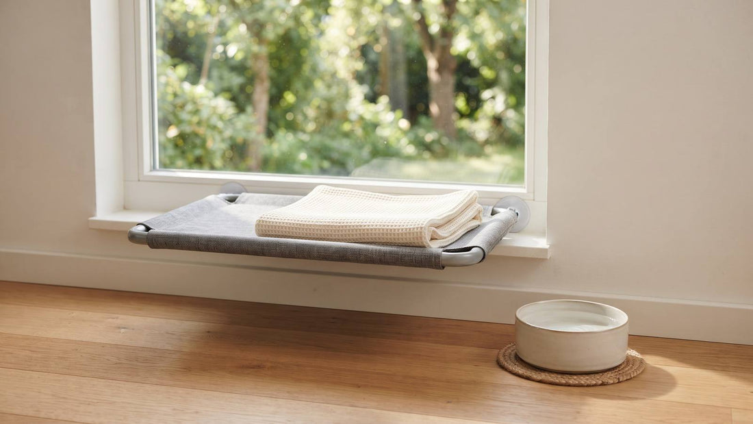 Empty cat window perch with folded blanket and ceramic water bowl in morning light
