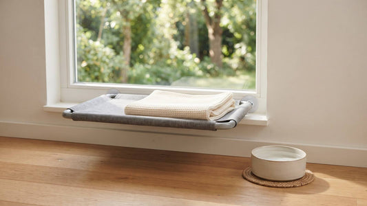 Empty cat window perch with folded blanket and ceramic water bowl in morning light