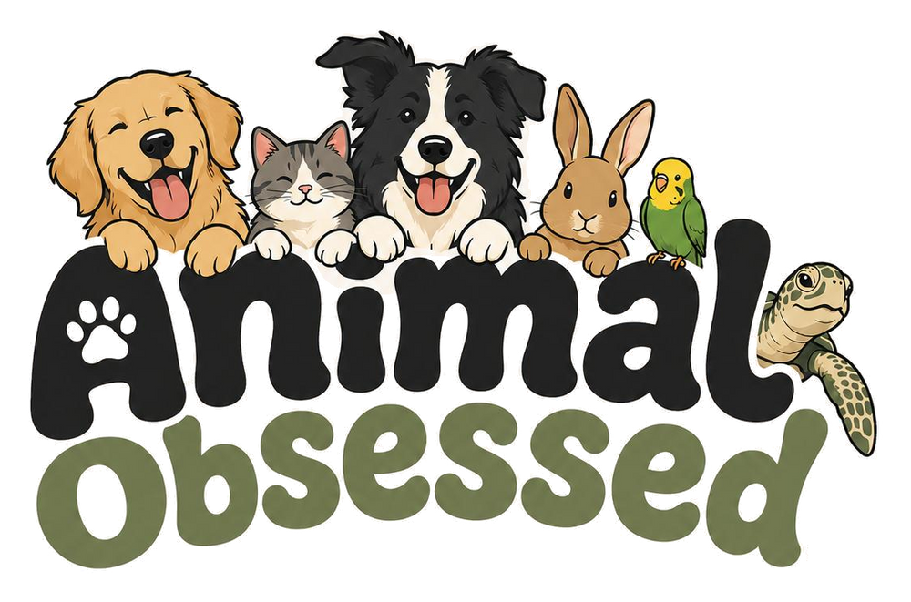 Animal Obsessed