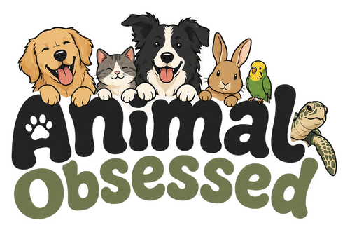 Animal Obsessed
