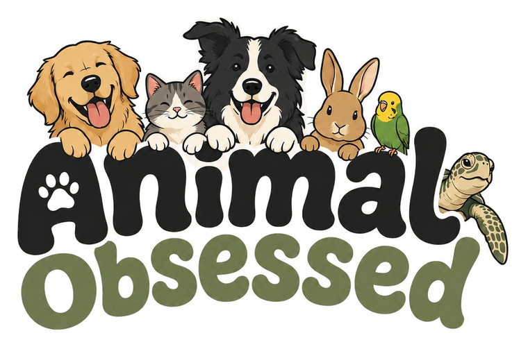 Animal Obsessed